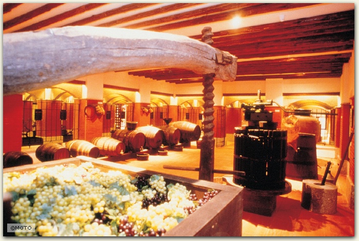 Wine Museum, Macau